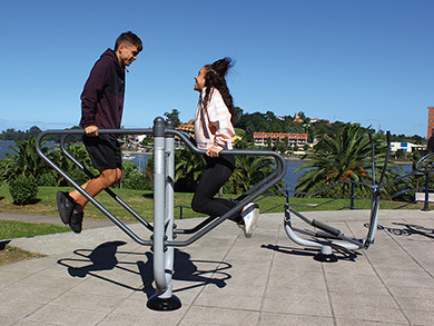BARRE PARALLELE - AF651 - immagine 2