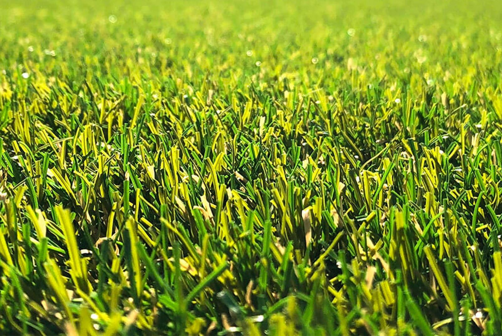 PRATO SINTETICO - immagine 3